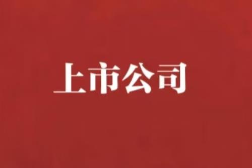 日联科技携手创新电子布局美洲深化协同发展  绘就高端制造出海新篇章