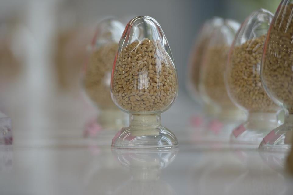 产粮大省连年丰收的“芯片”密码