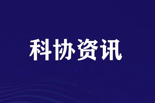 2025年中小学人工智能教育教学成果大赛暨教师教学展示交流活动结束