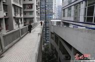 “最好吃”的栗子该不该罚20万  庭审3小时还是没定论